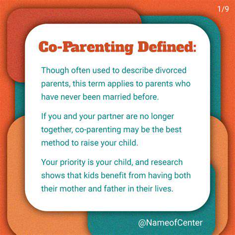 CraftingaSupportiveCo-ParentingStrategy