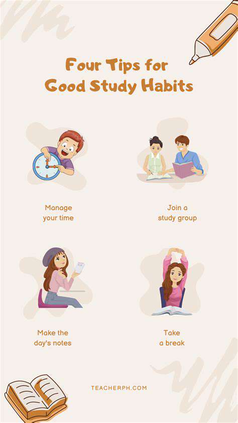 Best Study Habit Strategies for Academic Success