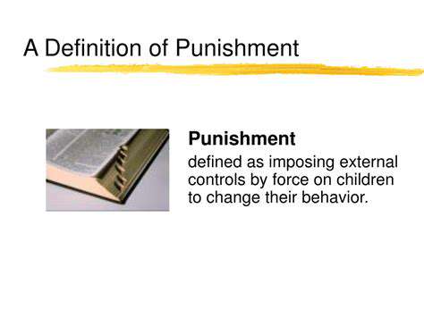 DefiningPositiveDiscipline:AShiftfromPunishmenttoGuidance